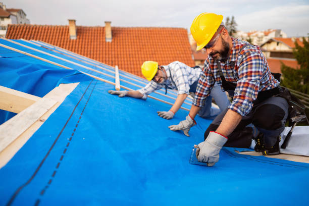 Best Roof Insulation Installation  in Fox Crossing, WI