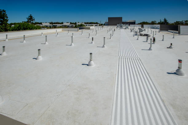Best Roof Ventilation Installation  in Fox Crossing, WI